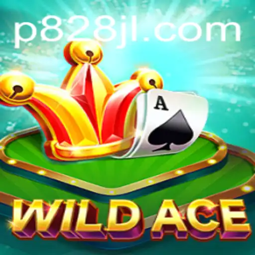 Discovering the Thrills of WildAce: The Newest Sensation in Gaming